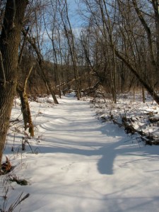 Snow in trail-12302010 for web