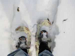 Snowshoes for web