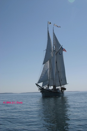 Windjammer copy