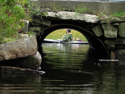 Jay and Goldie through culvert--Goose Pond for web