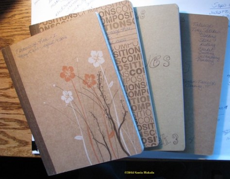 Notebooks for Thieves of Fire