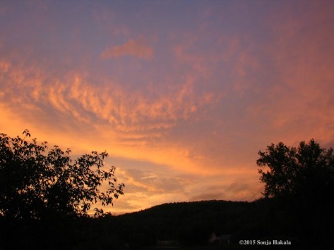 After the storm May 27, 2015 for web