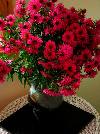 Vase of dark pink asters on porch