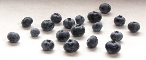 Blueberries-July 31-2016 for web