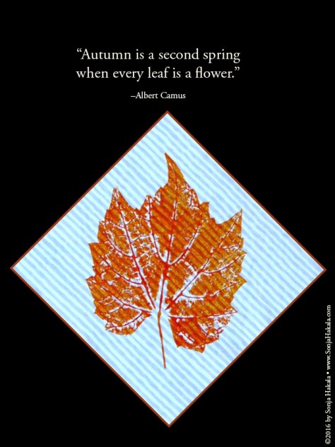 WQ-Orange stamped leaf