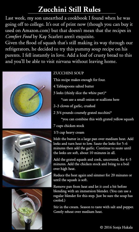 wq-zucchini-soup