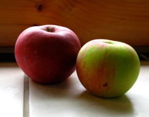 two-apples-for-web