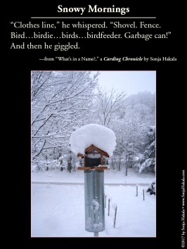 wq-bird-feeder-in-snow