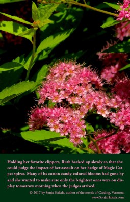 SH-Spirea