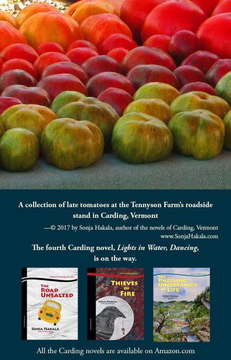 SH-Tennyson tomatoes