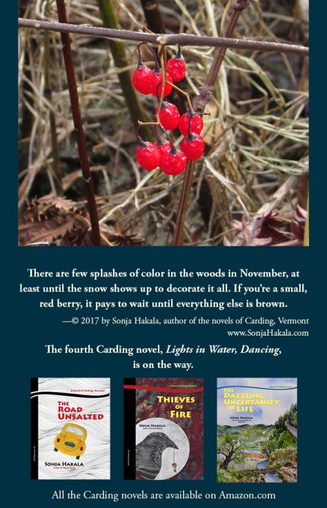 SH-deadly nightshade berries