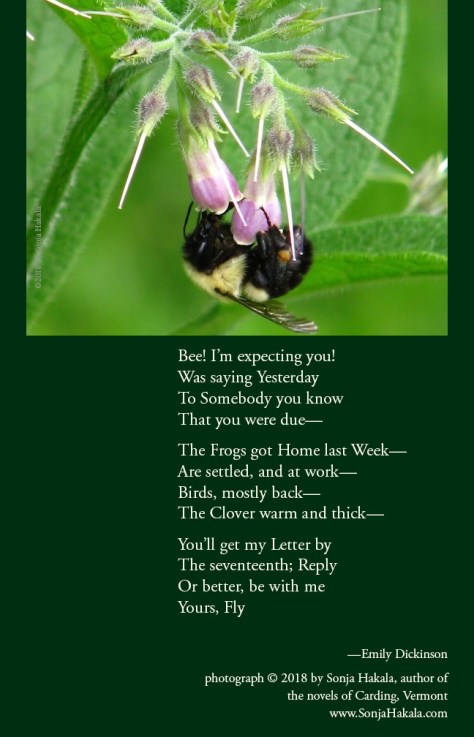 SH-bee poetry