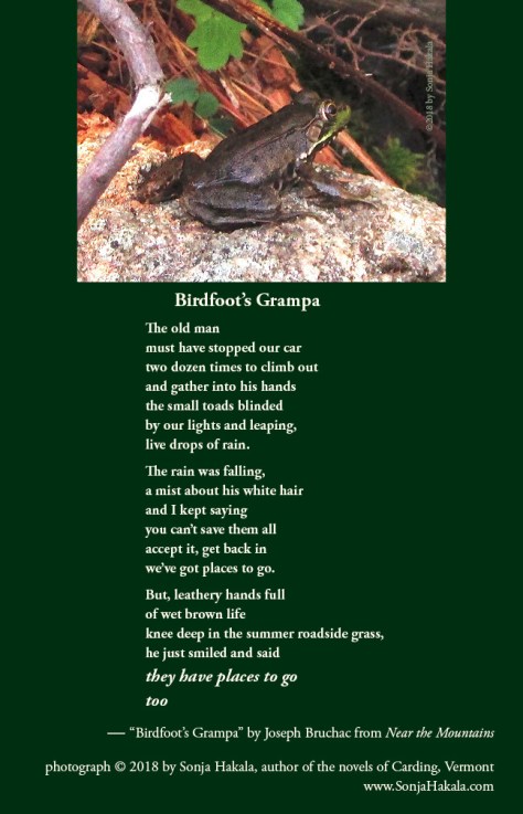 SH-frog poetry