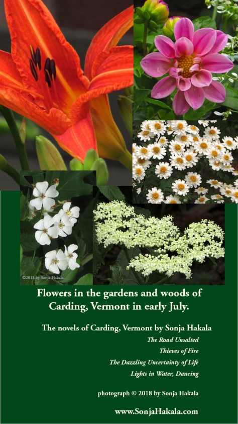 SH-flower report July 2