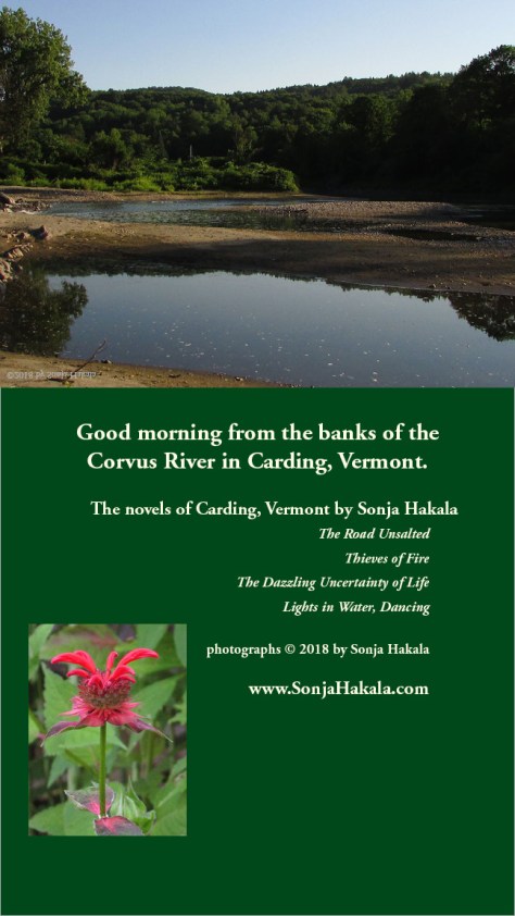 SH-Morning on the river