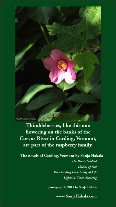 SH-Thimbleberry flower