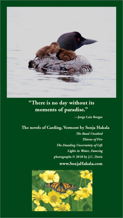 SH-moments of paradise