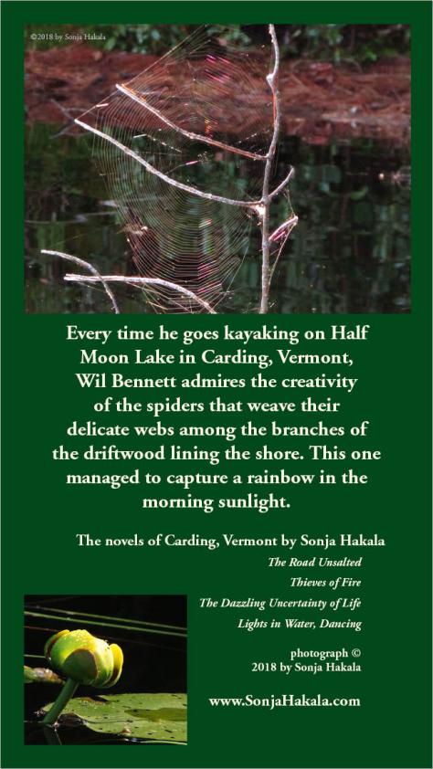 SH-spider web rainbow