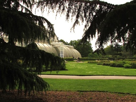Kew greenhouse