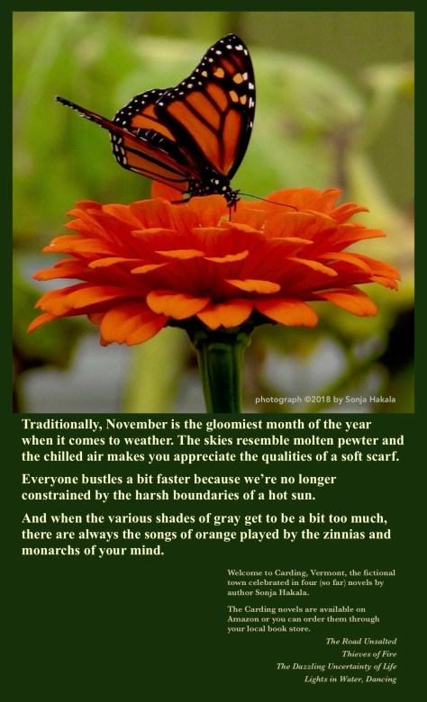 SH-monarch on zinnia jpg