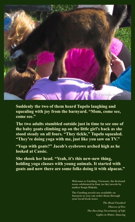 SH-yoga with goats jpg