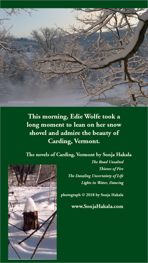 SH-maple branch in snow