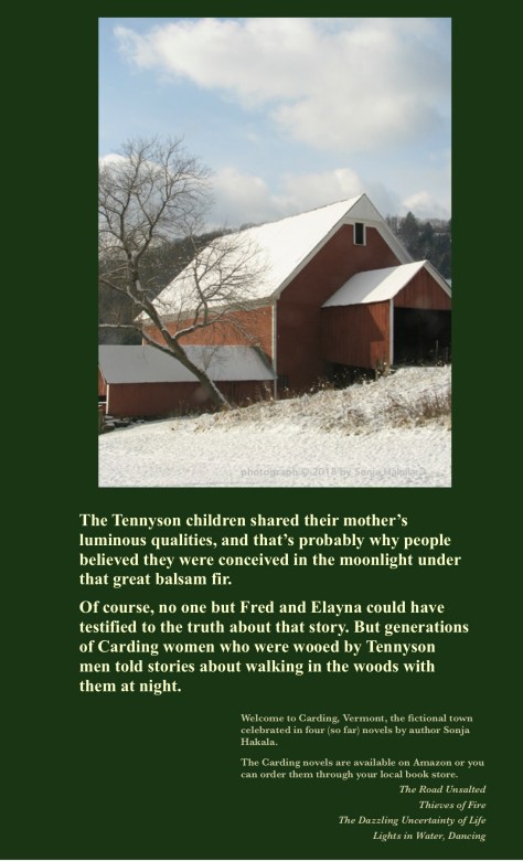 SH-Tennyson tree farm