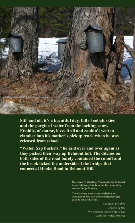 SH-A Boy Full of Glee