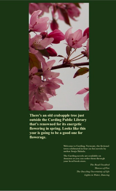 SH-Crabapple blossoms