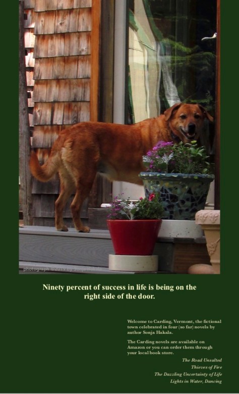 SH-Sable at the door