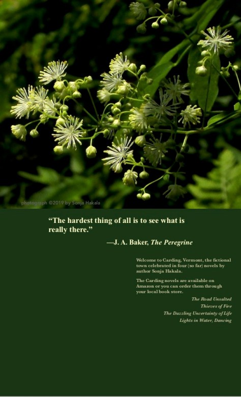 SH-White flower with Baker quote