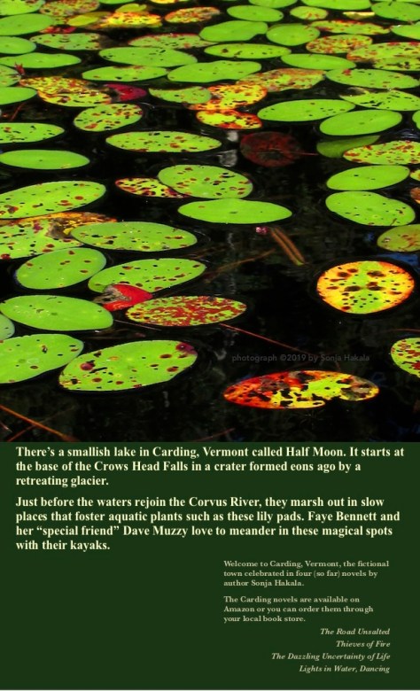 Lily pads