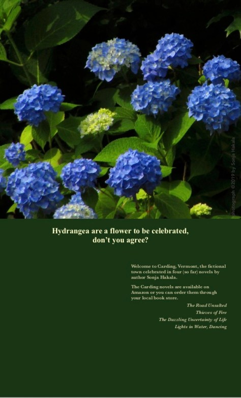 SH-Hydrangea