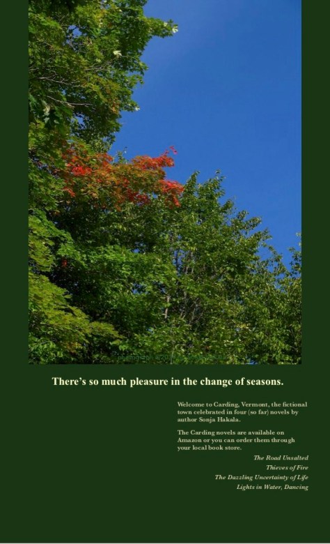 SH-First touch of fall