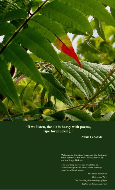 SH-Sumac leaf turning red