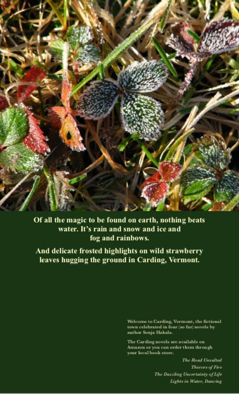 SH-Frosted strawberry leaves