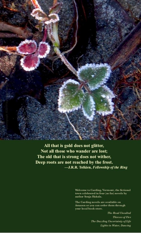 SH-Frosted strawberry leaves 2019