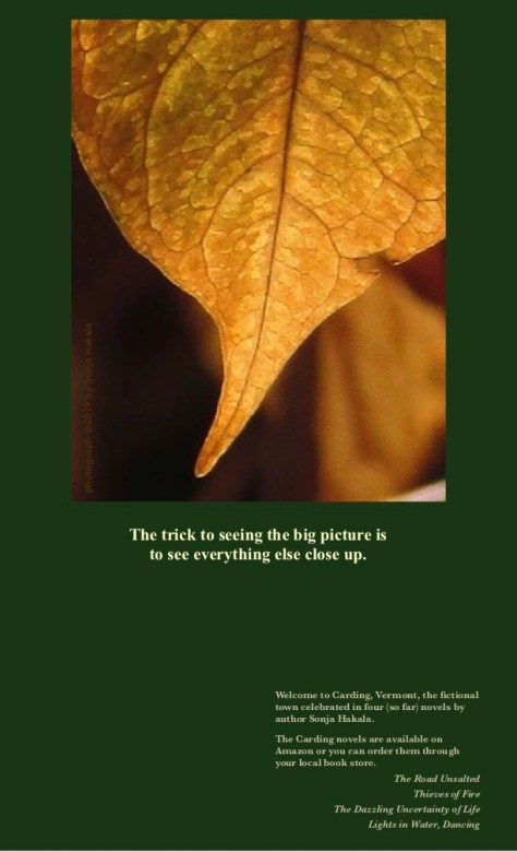 SH-Knotweed leaf-veins