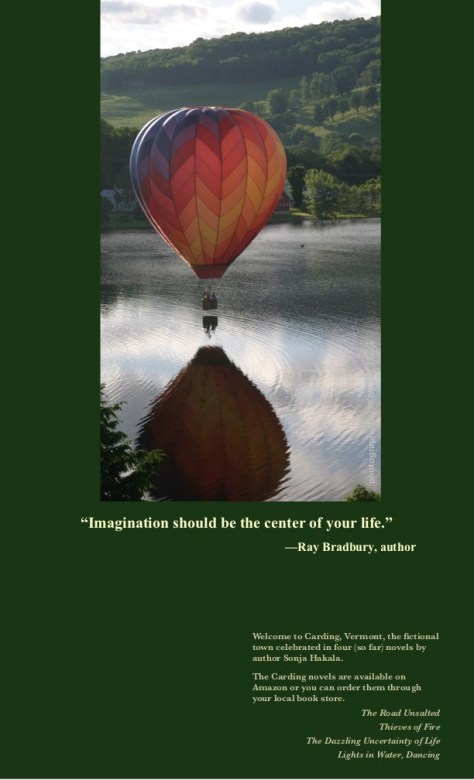 SH-Hot air balloon 2