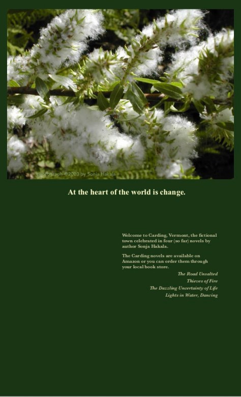 SH-Cottonwood in seed