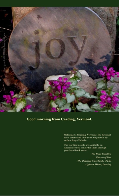 SH-Joy in the morning