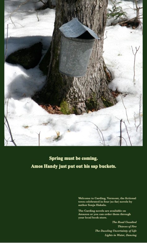 SH-Sap bucket