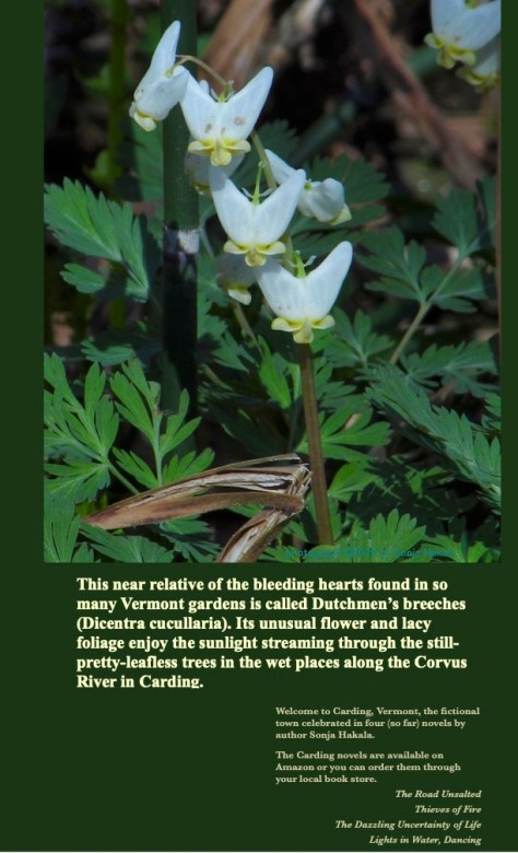 SH-Dutchmen's breeches